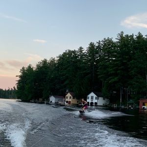 Meet your Posher, Griffin